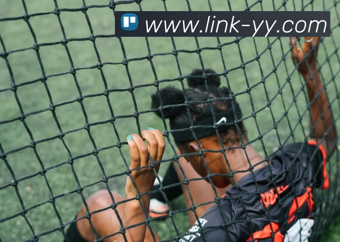 易游体育平台生态图